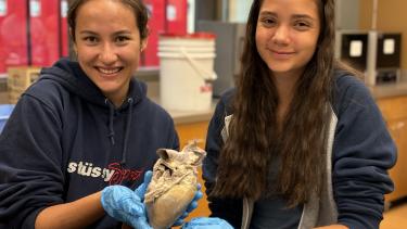 Two female students in science class holding an organ.